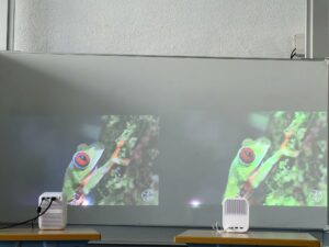 Wanbo T2 Max New vs Xiaomi Mi Smart Projector 2 Tageslicht 3