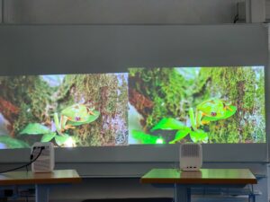 Wanbo T2 Max New vs Xiaomi Mi Smart Projector 2 abgedunkelt 39