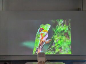 Xiaomi Mi Smart Projector 2 65 Zoll abgedunkelt 4