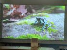 Xiaomi Mi Smart Projector 2 80 Zoll abgedunkelt 1
