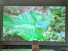 Xiaomi Mi Smart Projector 2 80 Zoll abgedunkelt 4 1